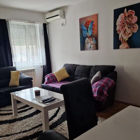Centar S Apartment Nis Bagian luar foto