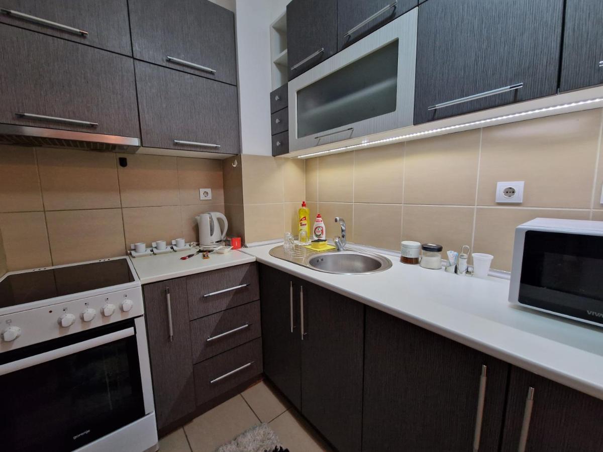 Centar S Apartment Nis Bagian luar foto