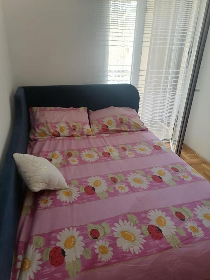 Centar S Apartment Nis Bagian luar foto