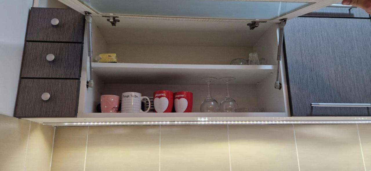 Centar S Apartment Nis Bagian luar foto